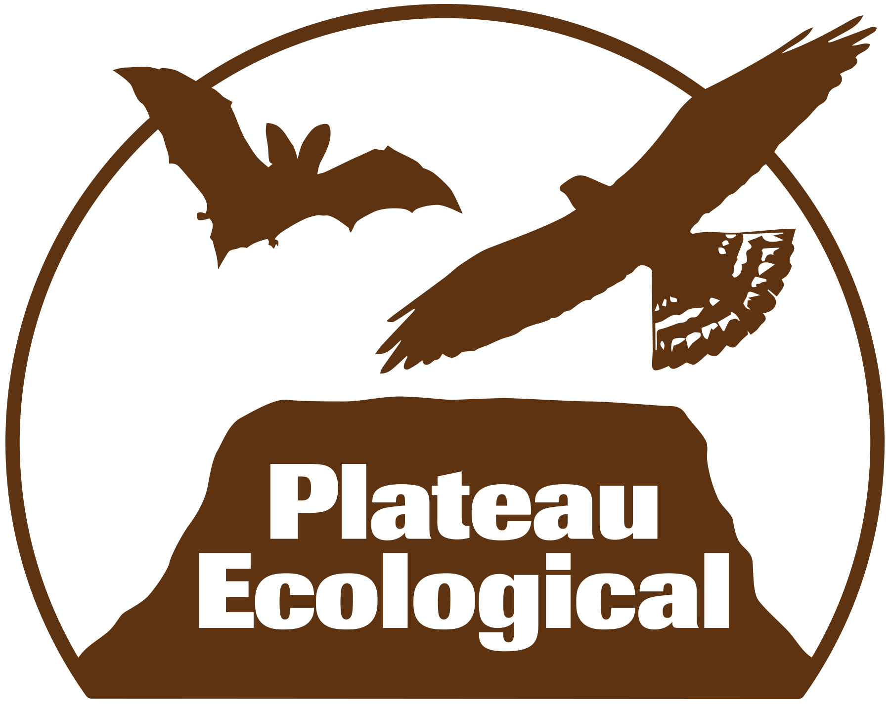JPG logo