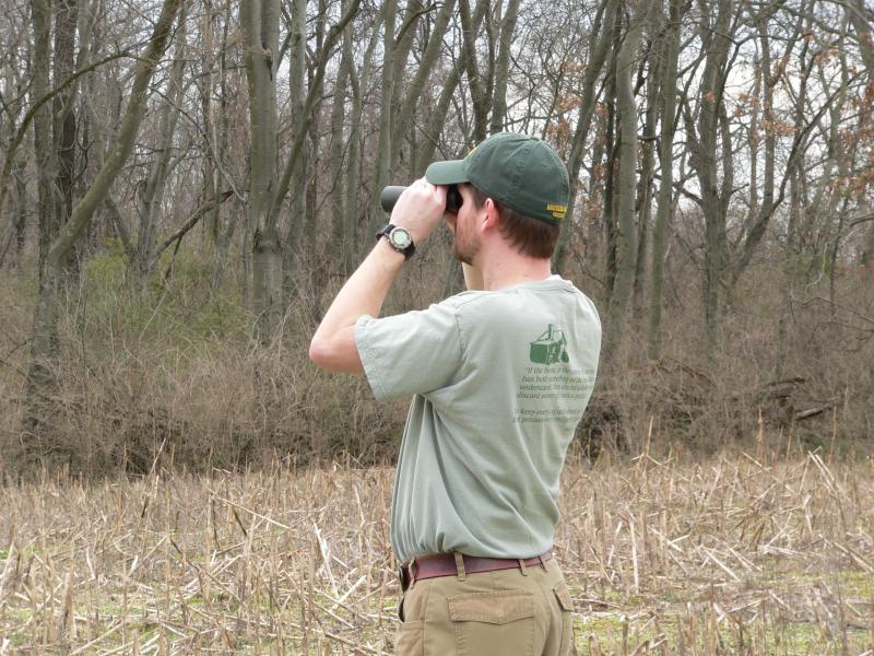 Birding
